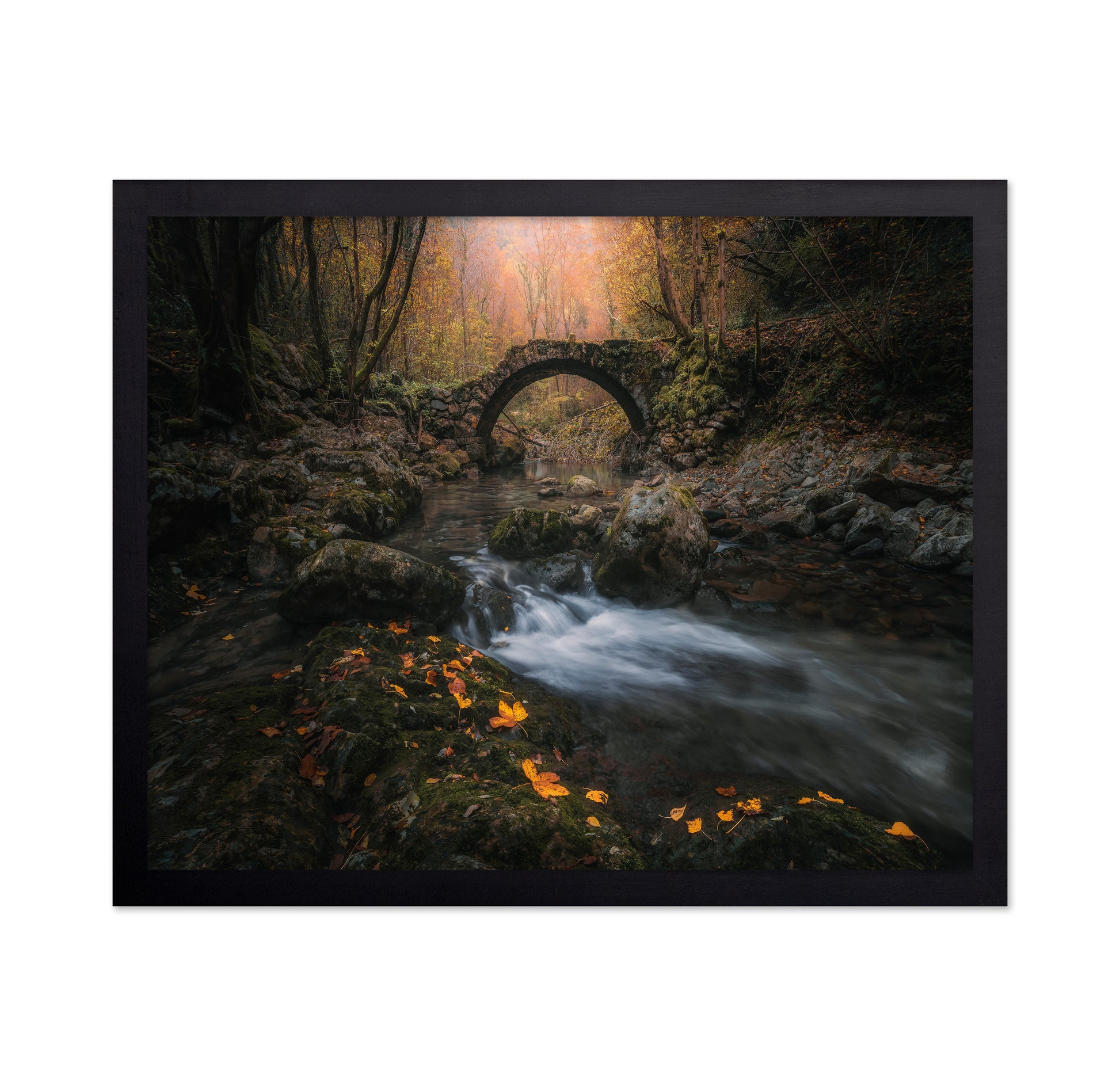 Autumn Bridge Stream