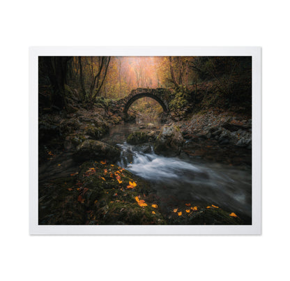 Autumn Bridge Stream