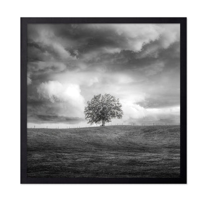 Lone Tree Horizon No3
