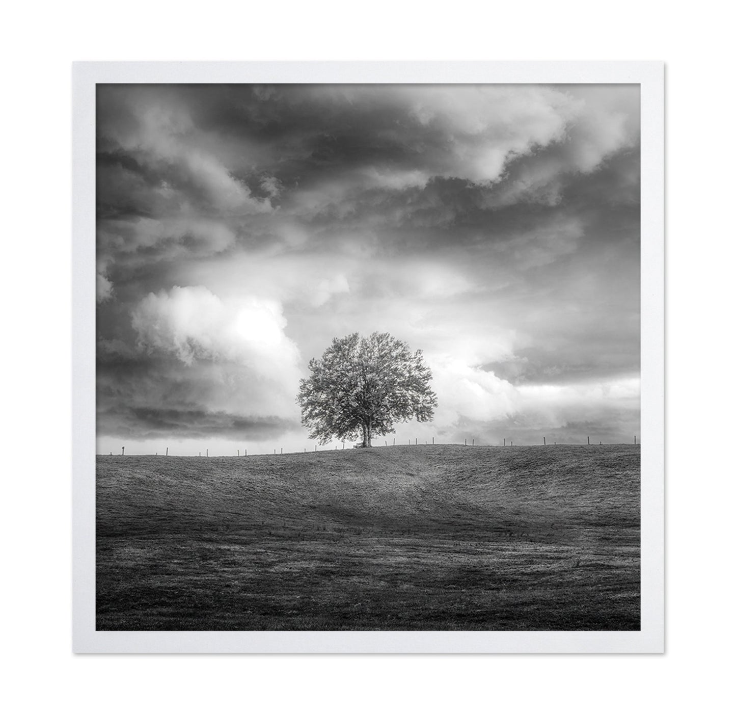 Lone Tree Horizon No3