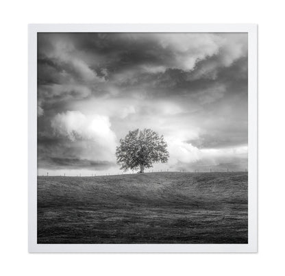 Lone Tree Horizon No3