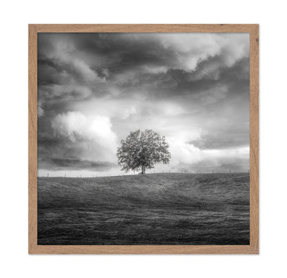 Lone Tree Horizon No3