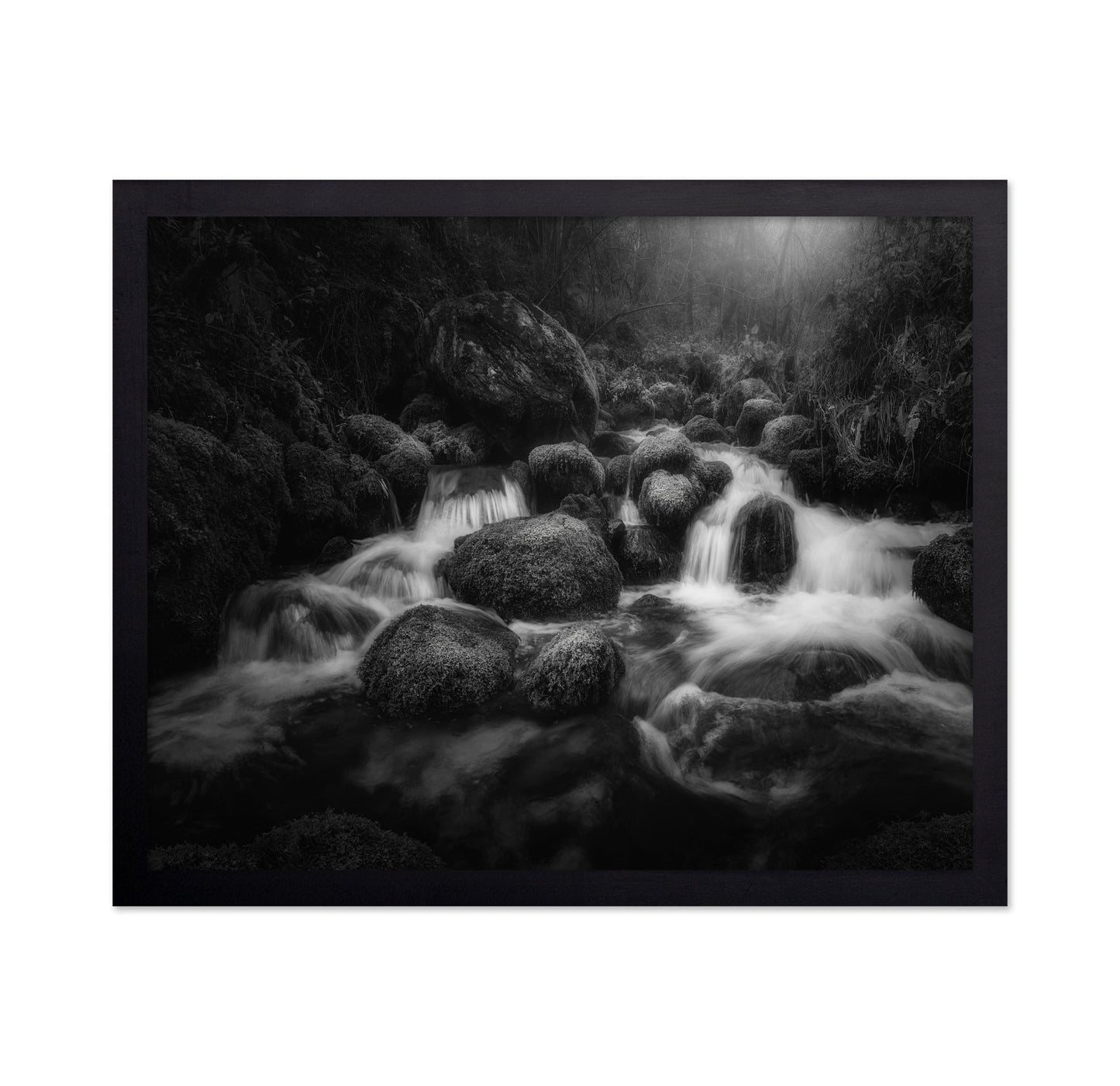 Forest Stream Flow