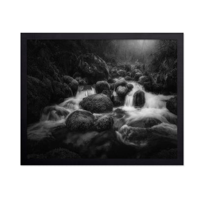 Forest Stream Flow