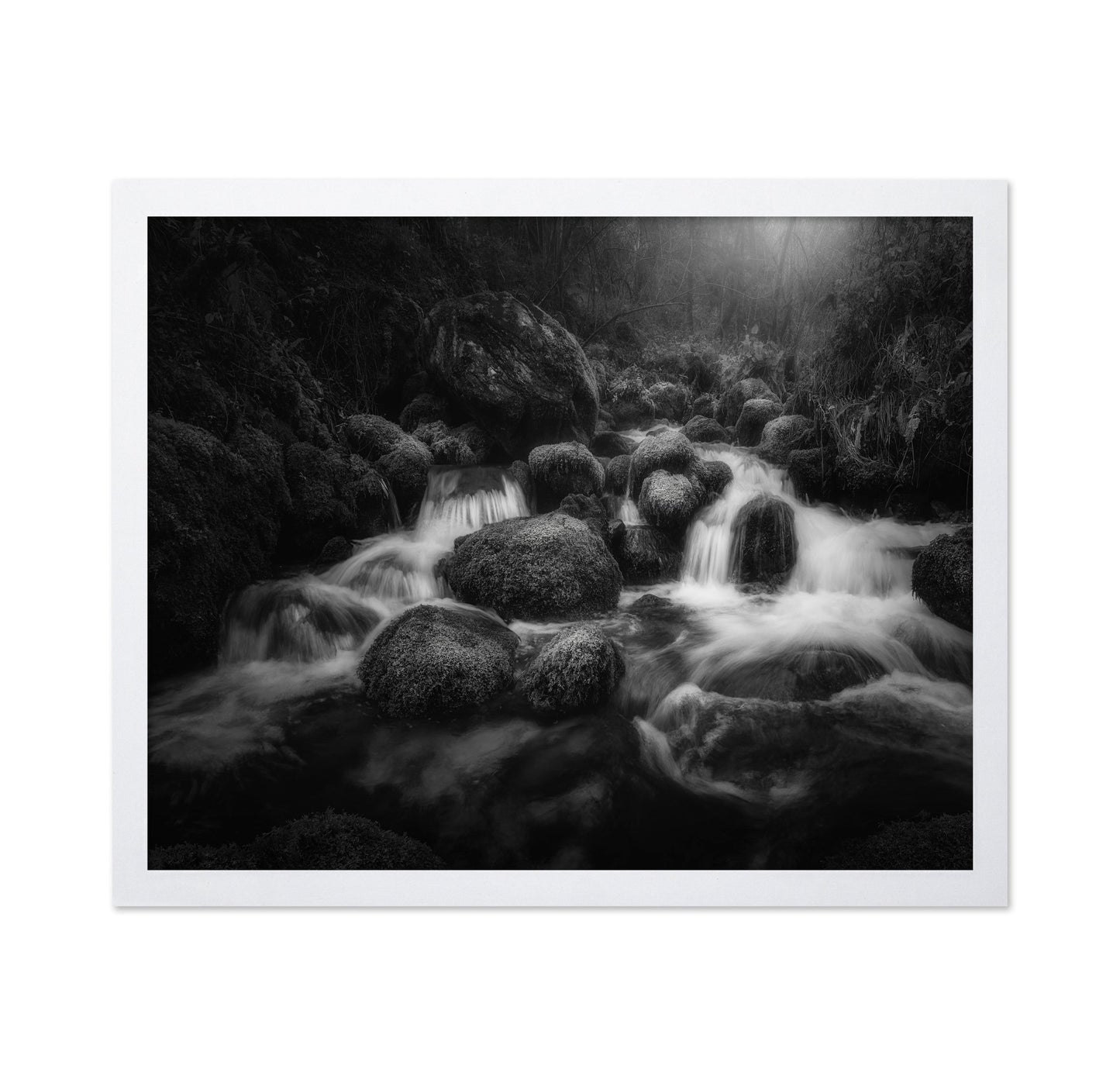 Forest Stream Flow