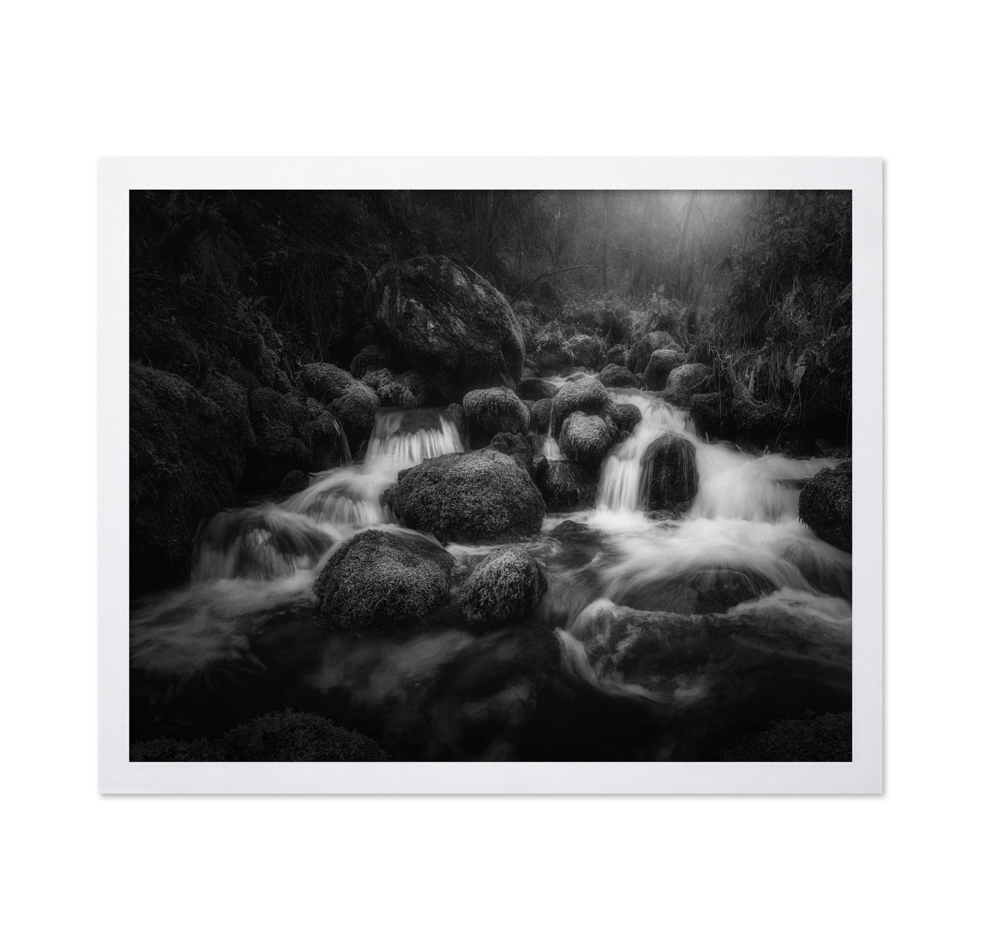 Forest Stream Flow