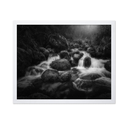 Forest Stream Flow