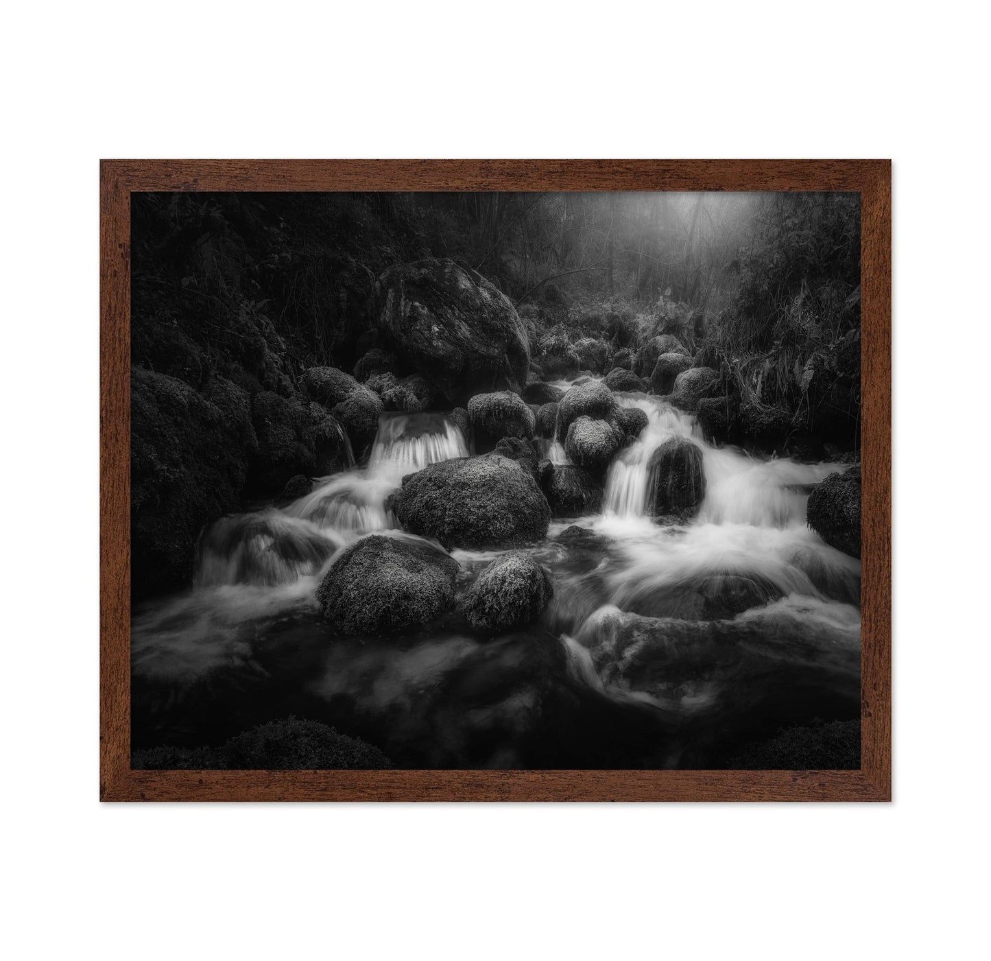 Forest Stream Flow