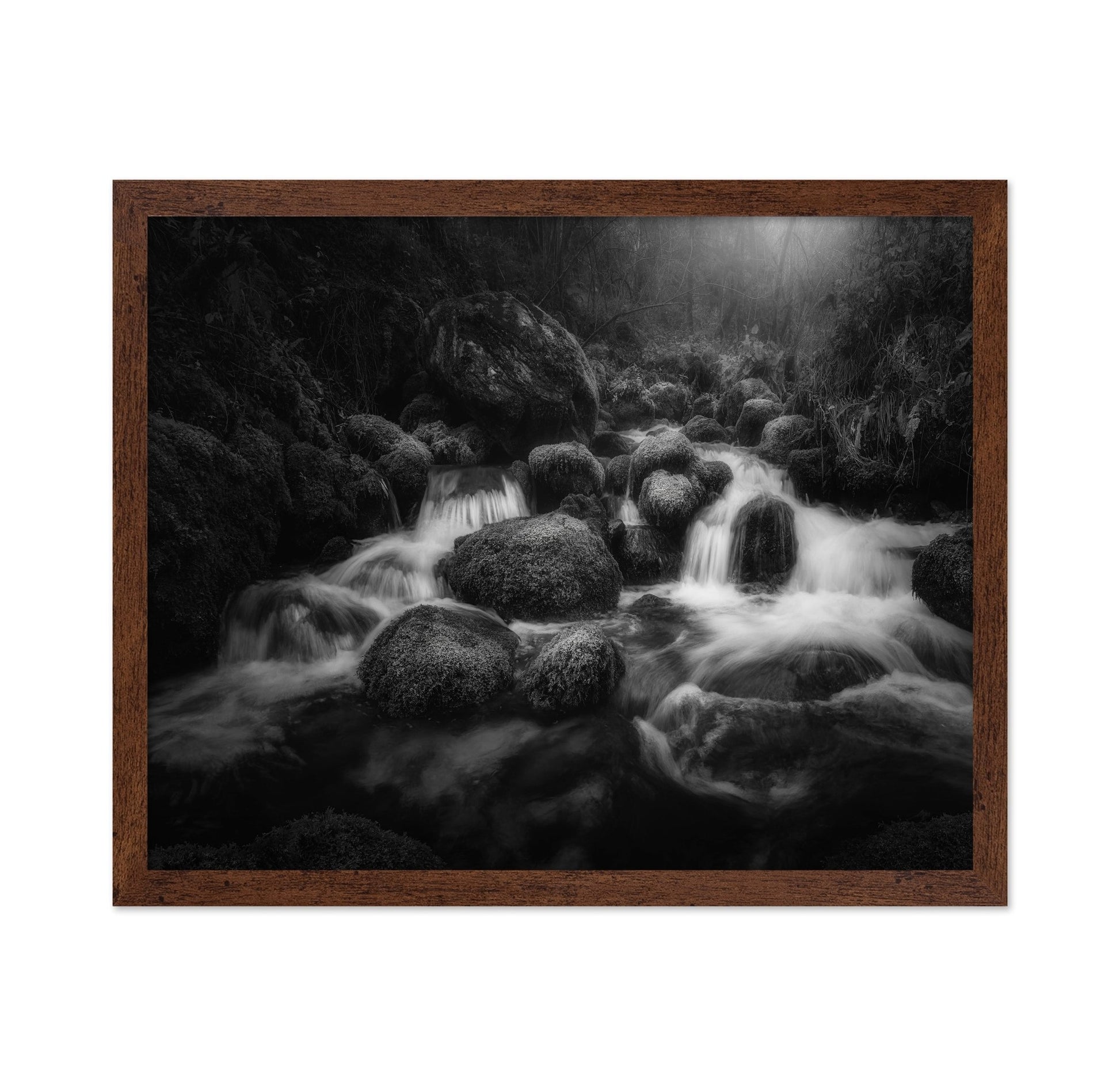 Forest Stream Flow