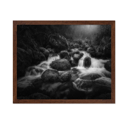 Forest Stream Flow