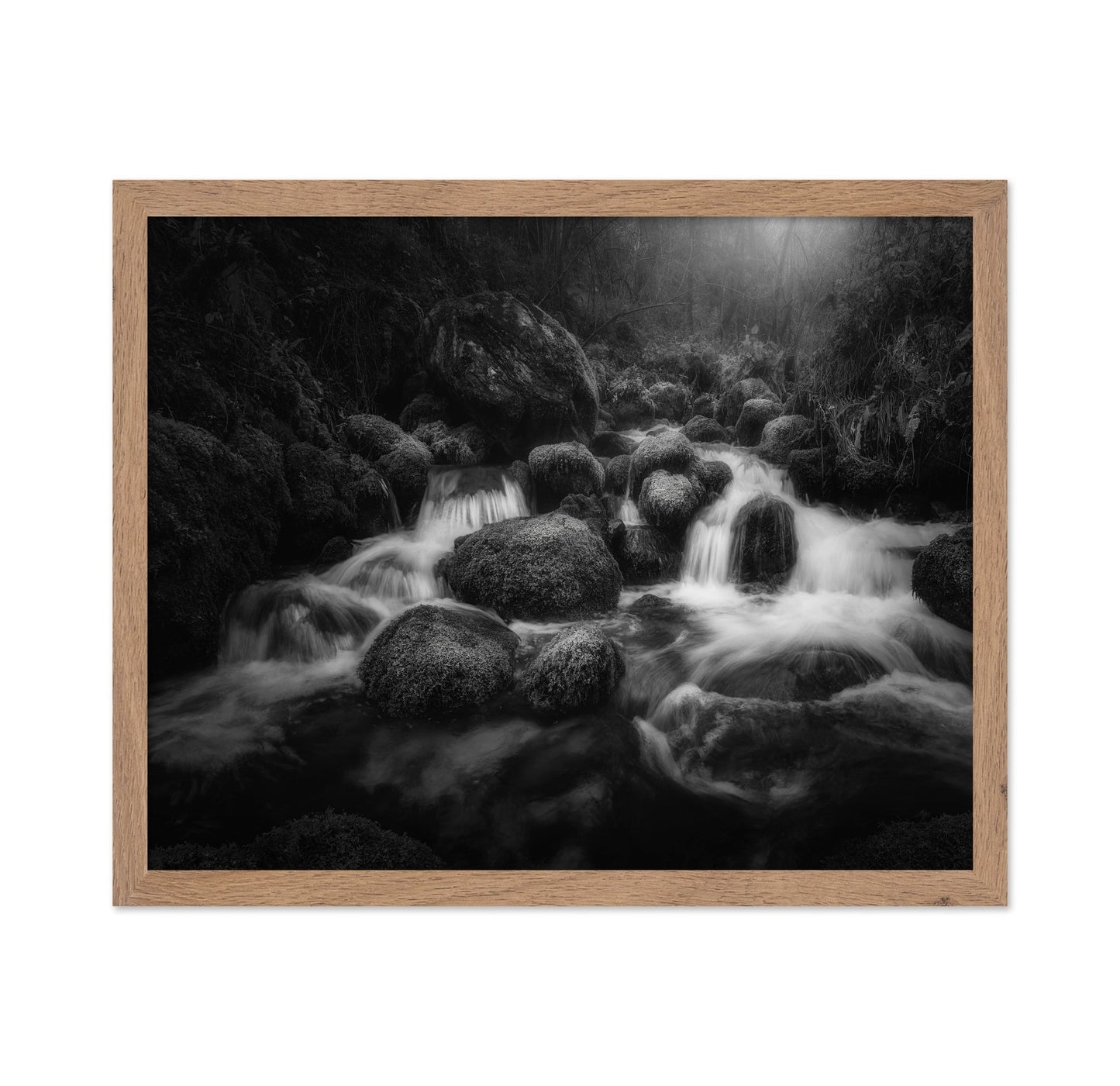 Forest Stream Flow