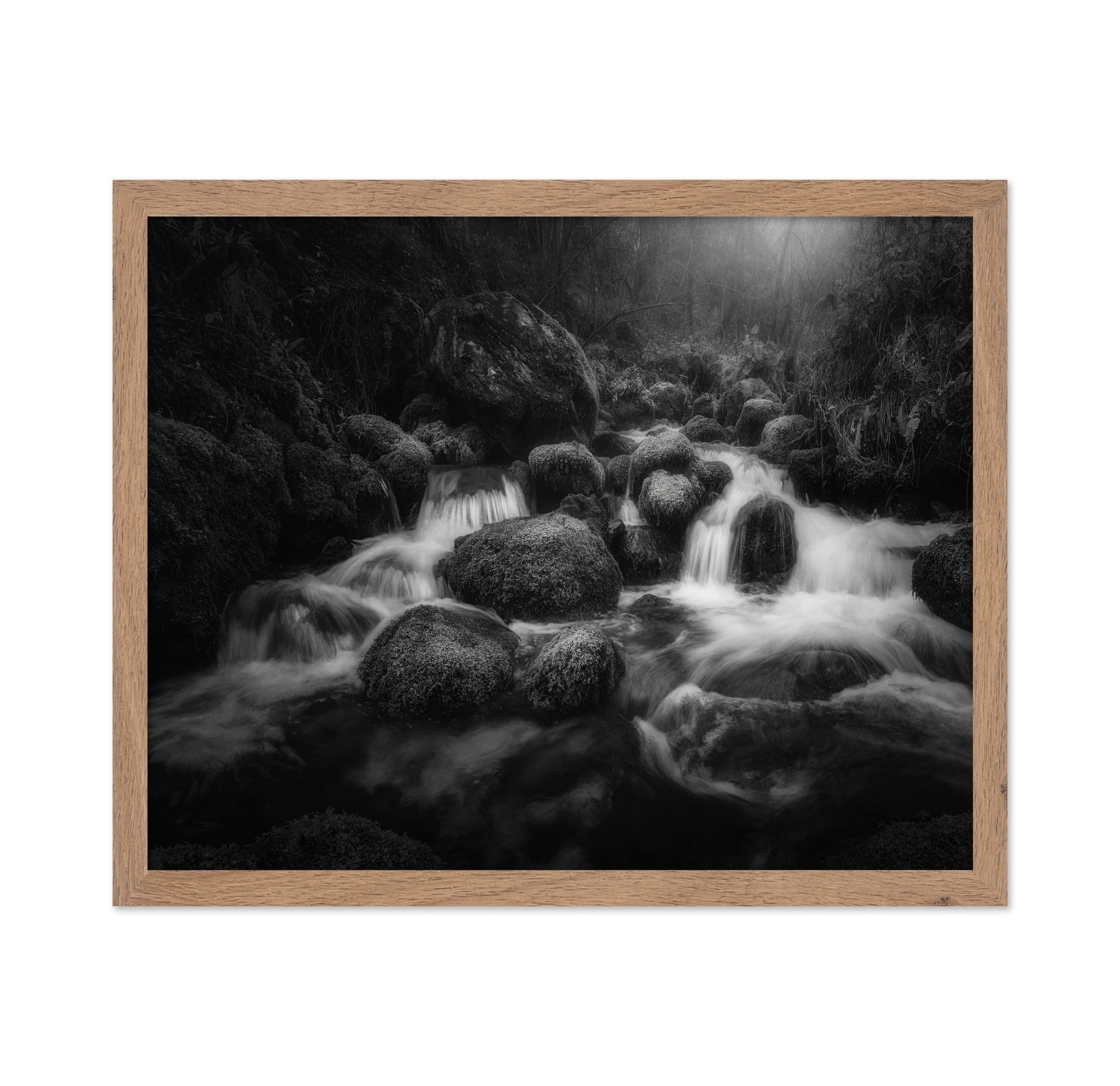 Forest Stream Flow