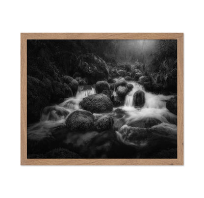 Forest Stream Flow