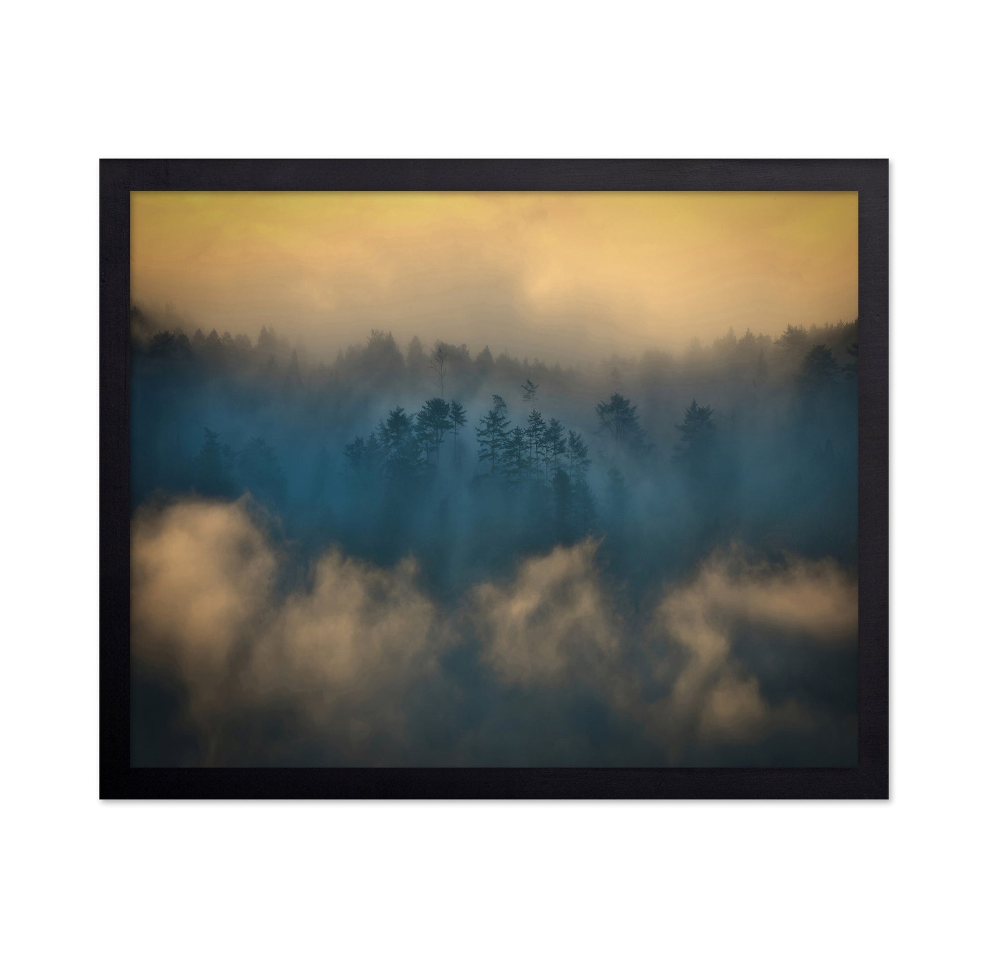 Misty Forest Glow No2