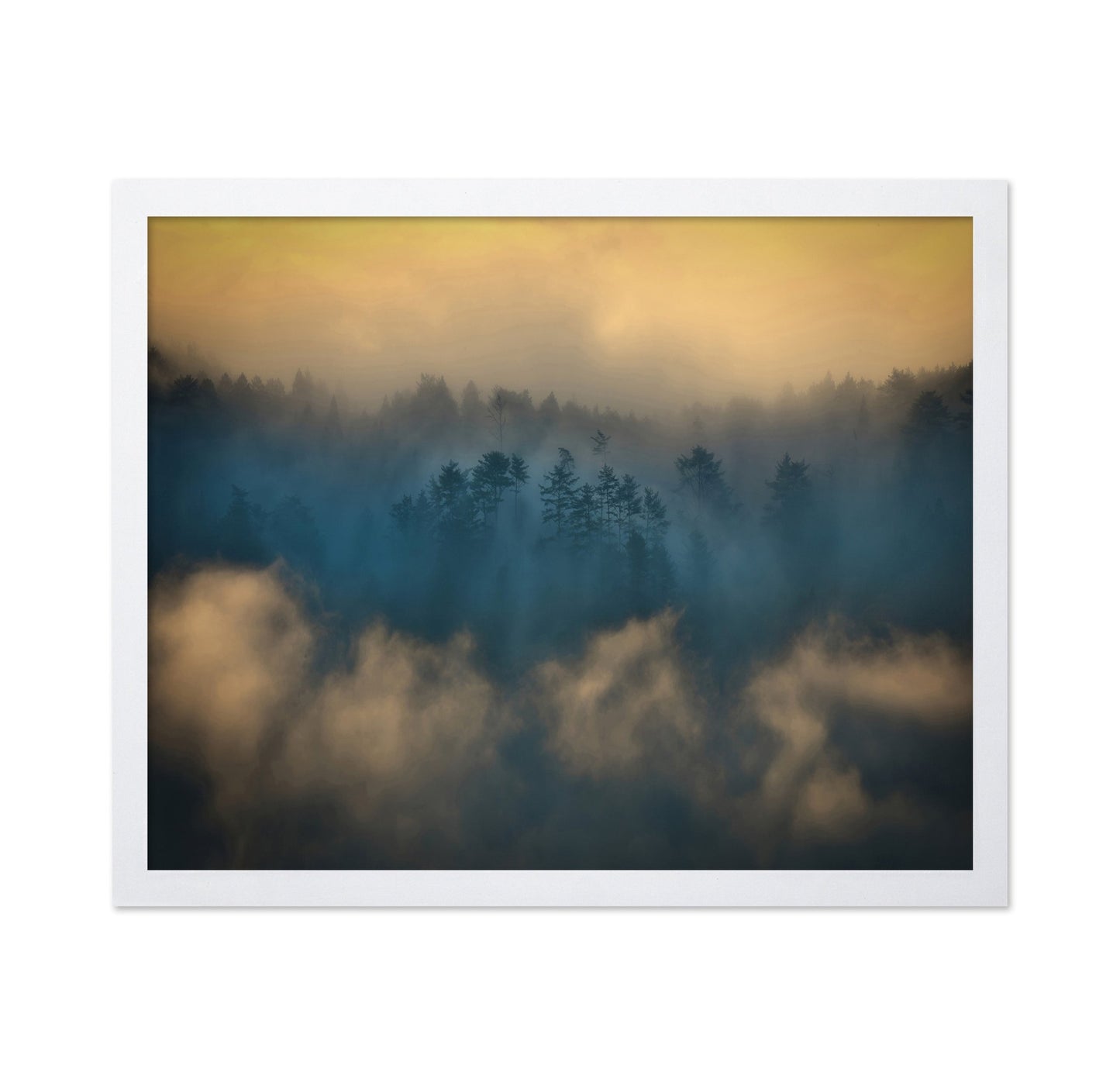 Misty Forest Glow No2