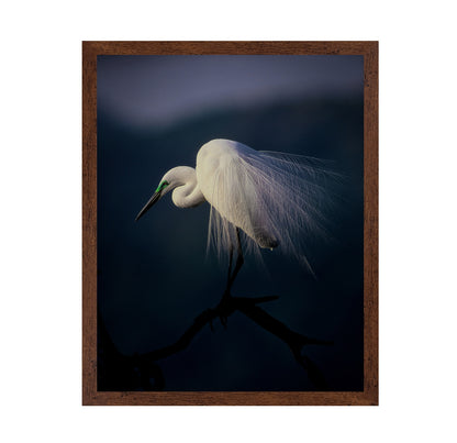 Title: Elegant White Heron