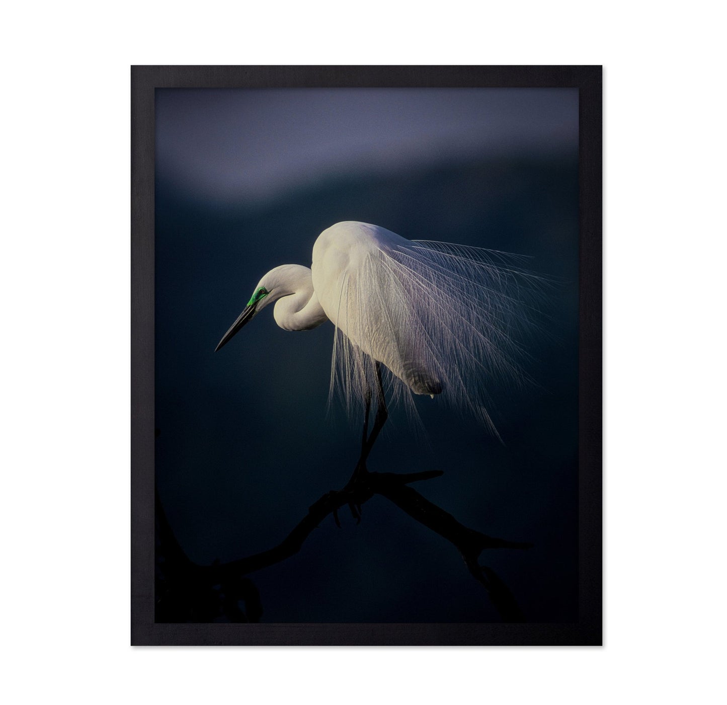 Title: Elegant White Heron