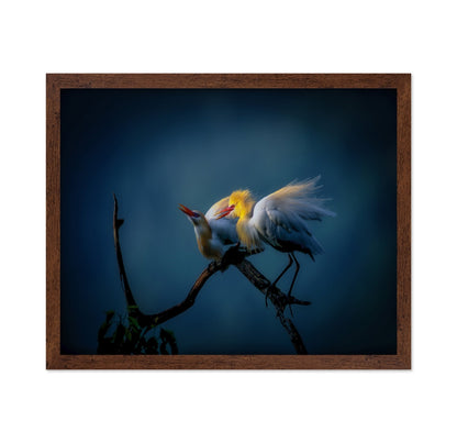 Golden Egret Pair