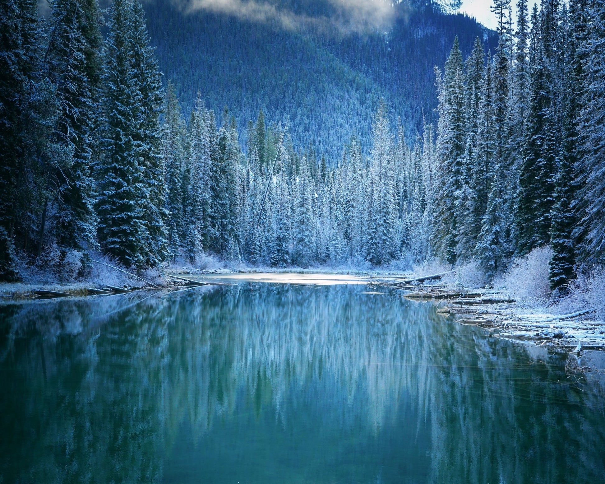 Frozen Forest Lake