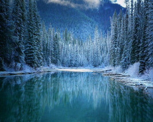 Frozen Forest Lake