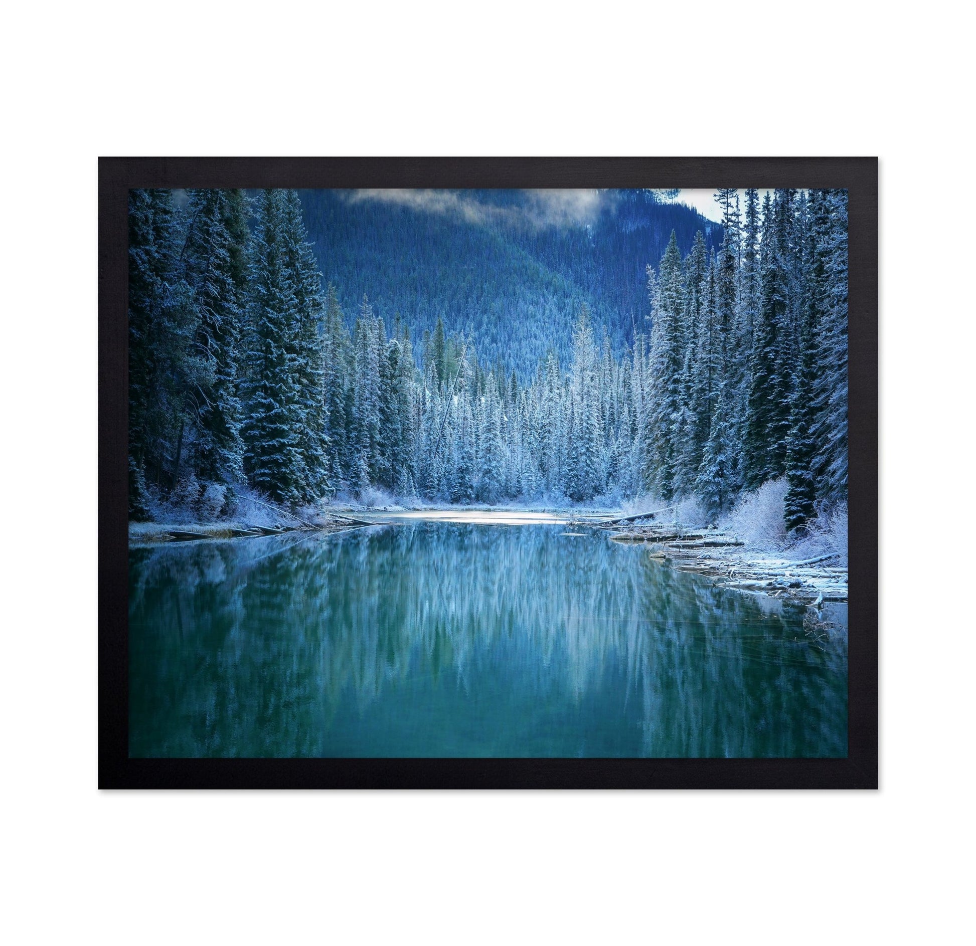 Frozen Forest Lake