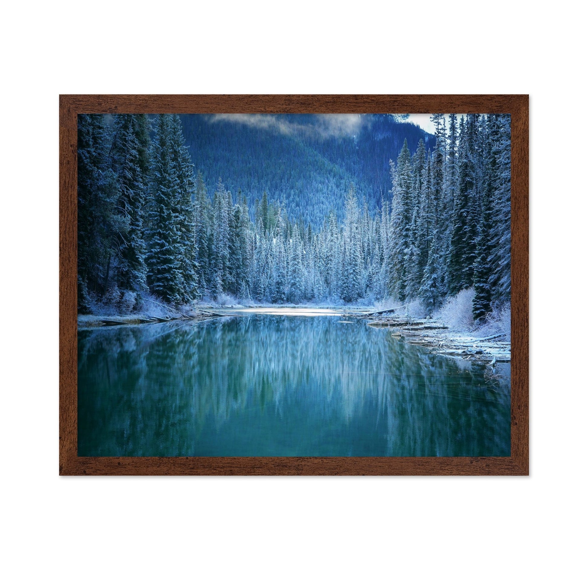 Frozen Forest Lake