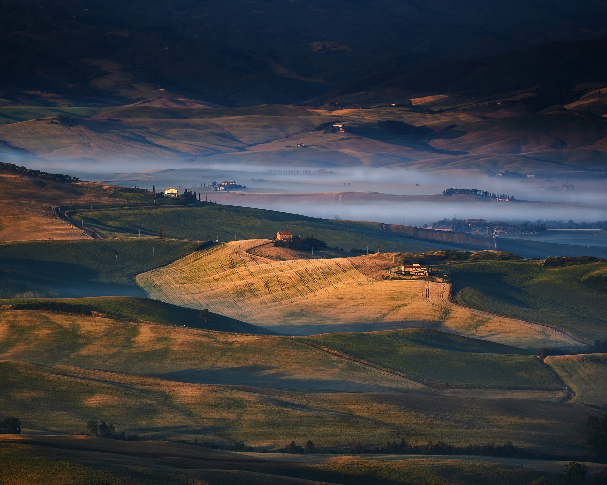 Golden Valley Fields No1