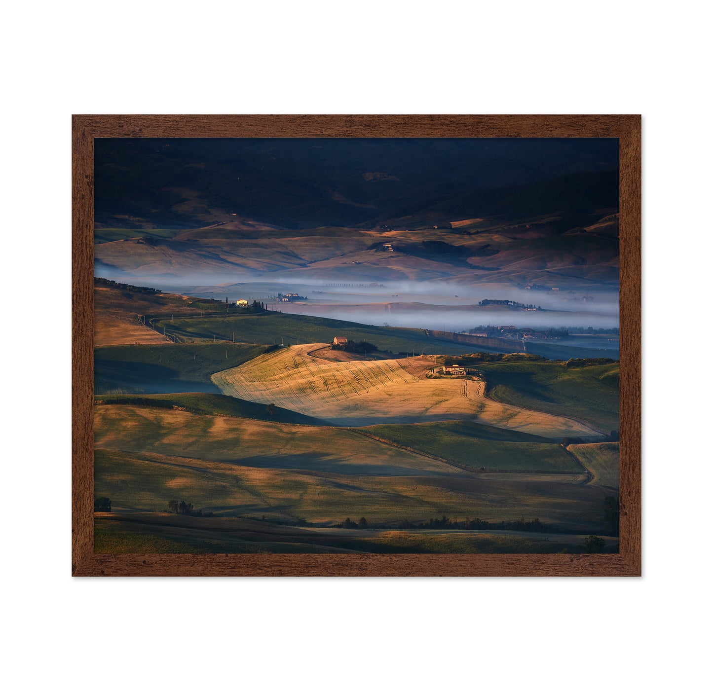 Golden Valley Fields No1