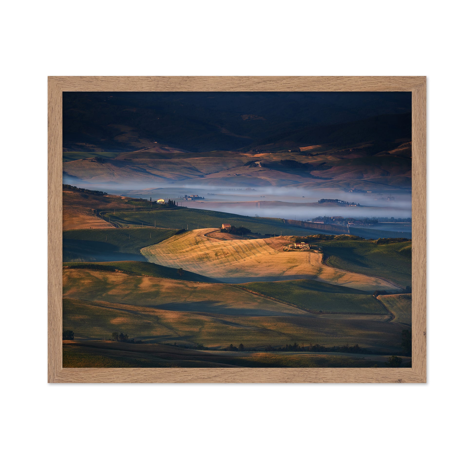 Golden Valley Fields No1