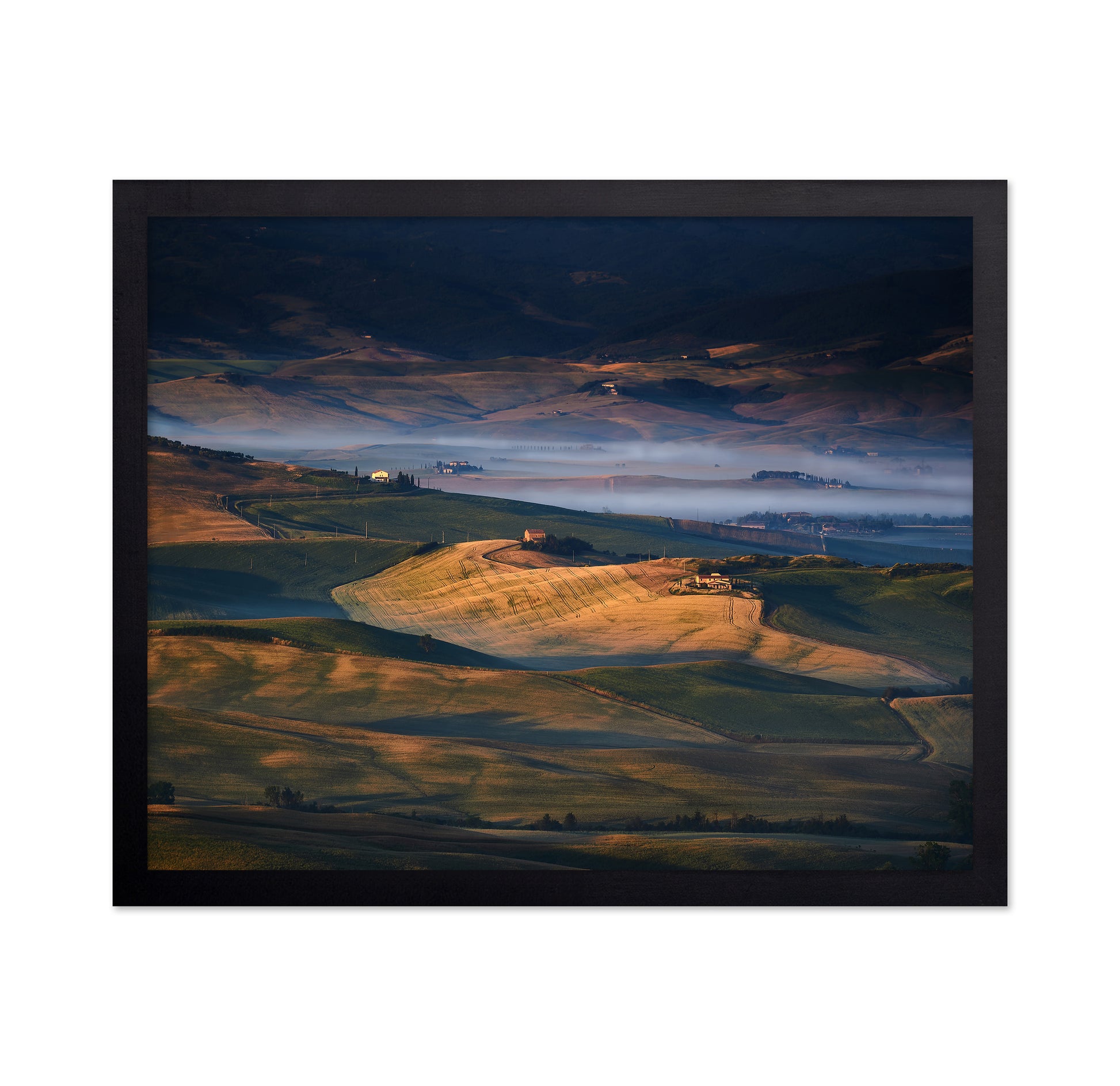 Golden Valley Fields No1