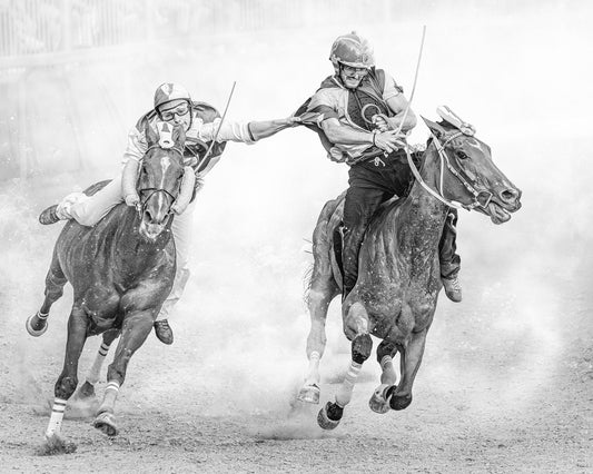 Polo Horse Action No2