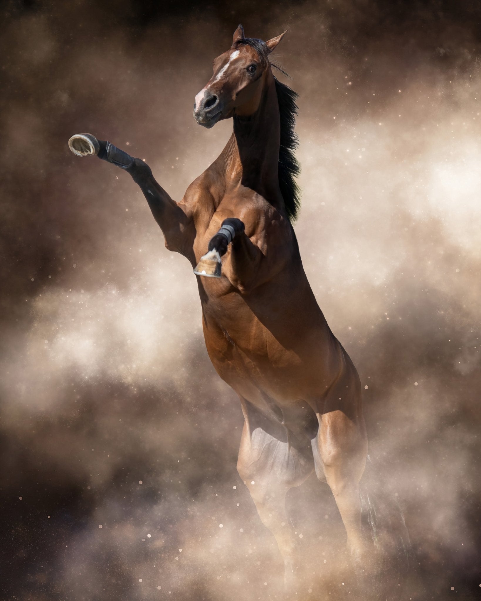 Rearing Power Horse