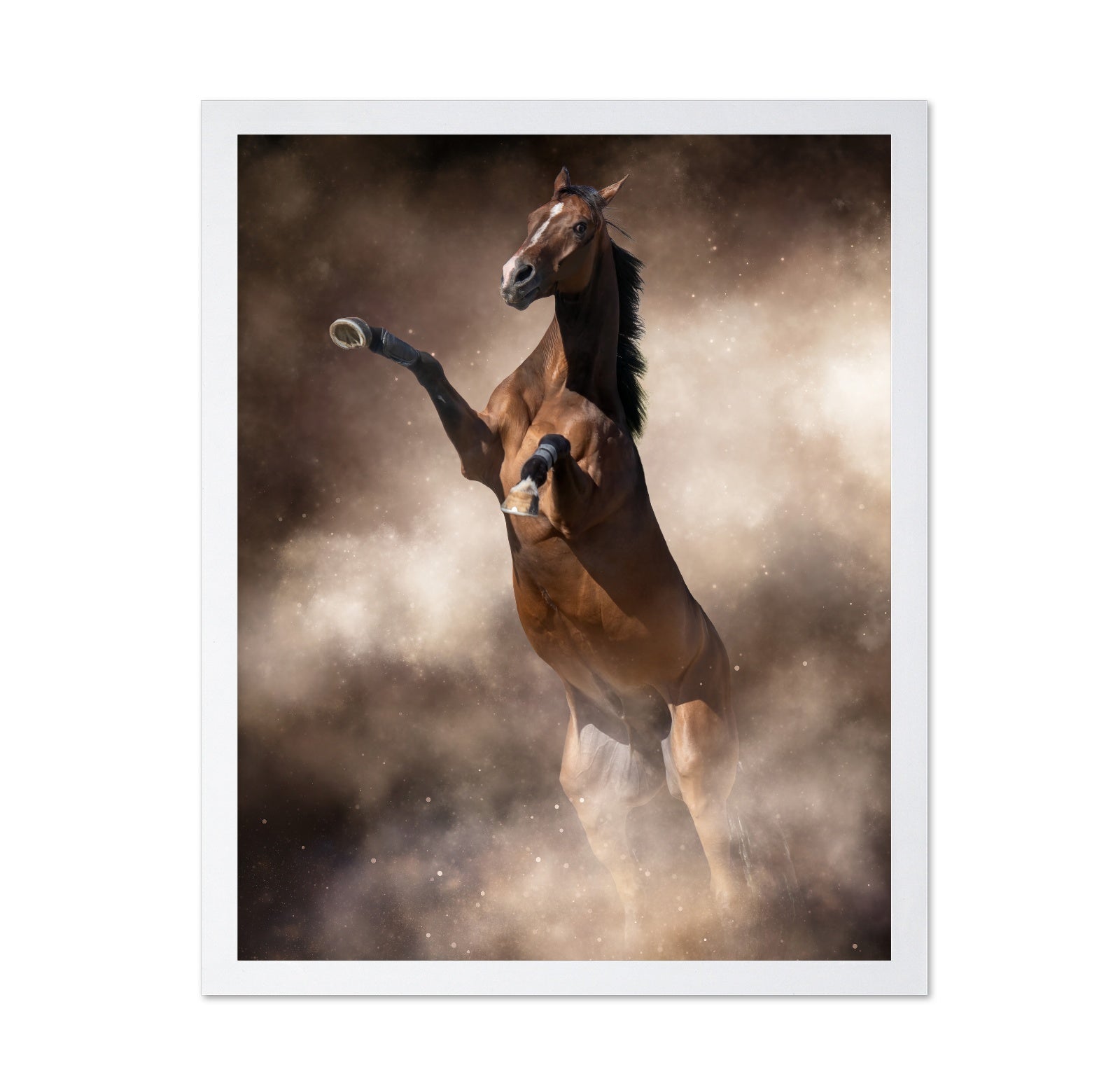 Rearing Power Horse