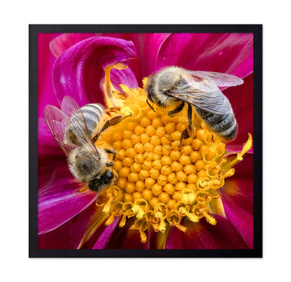 Bees On Pink Flower