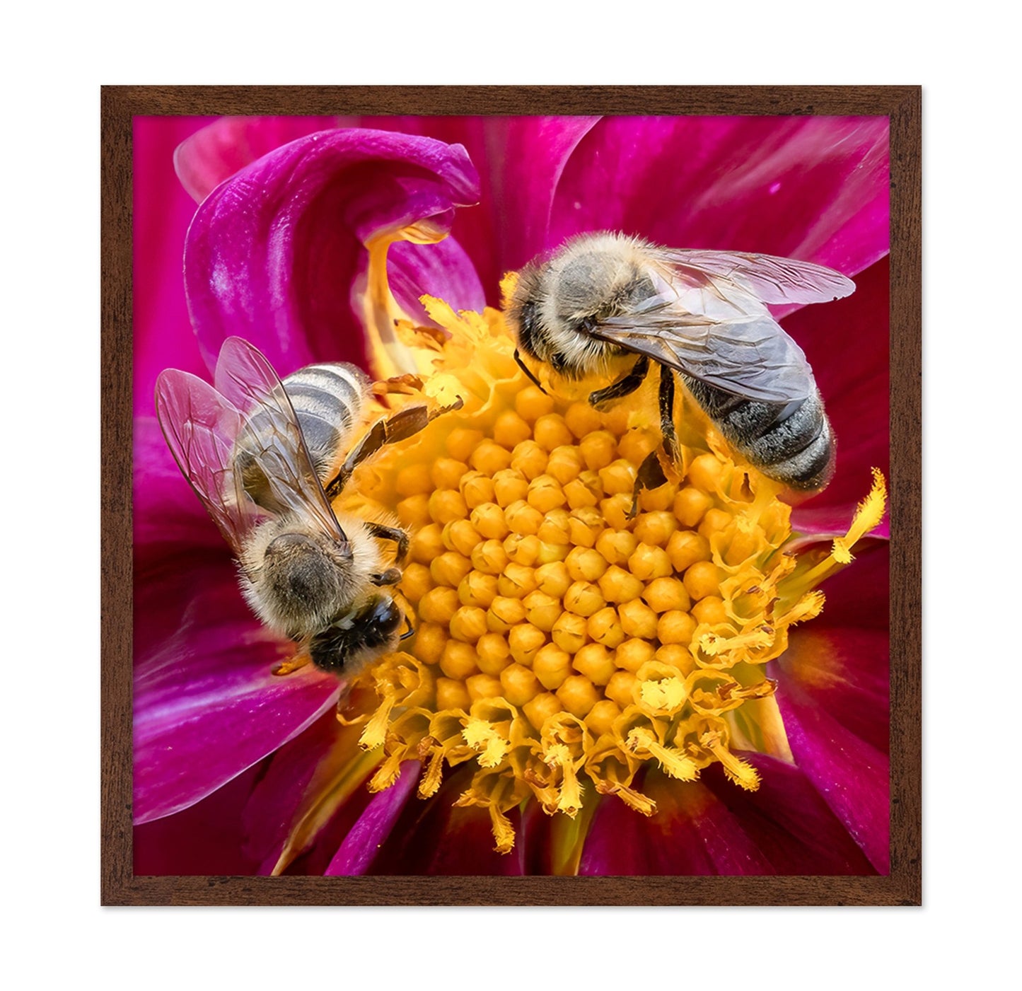Bees On Pink Flower