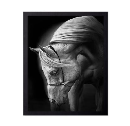 Graceful White Horse
