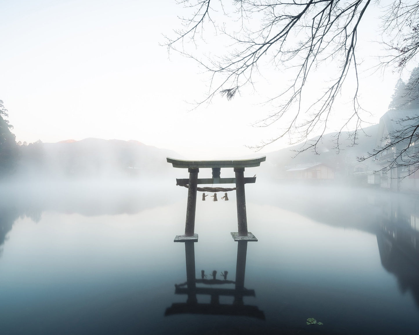 Misty Torii Reflection