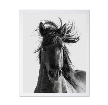 Wild Horse Portrait