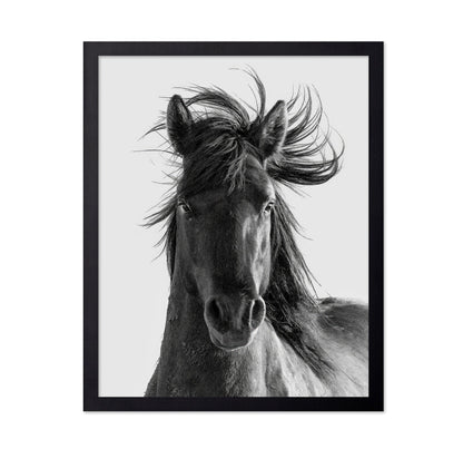 Wild Horse Portrait
