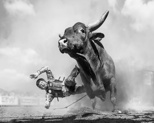 Rodeo Bull Ride
