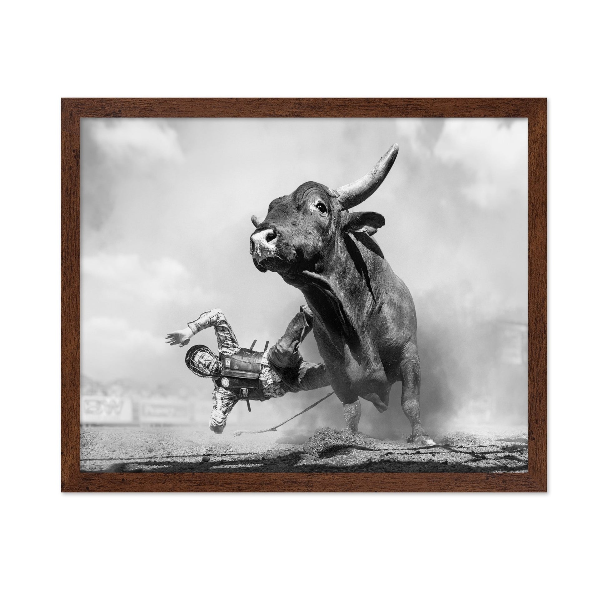 Rodeo Bull Ride
