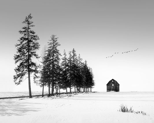 Lone Barn Winter