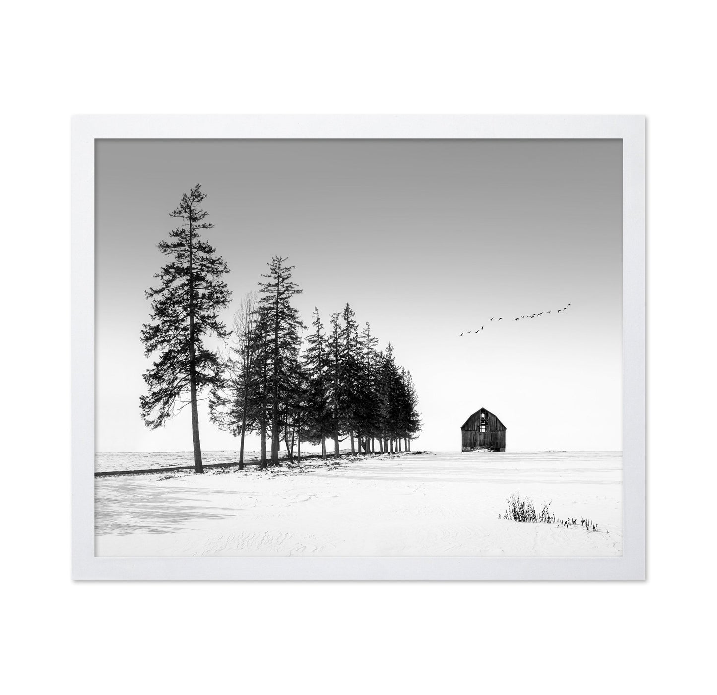 Lone Barn Winter