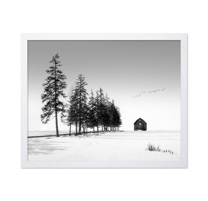 Lone Barn Winter