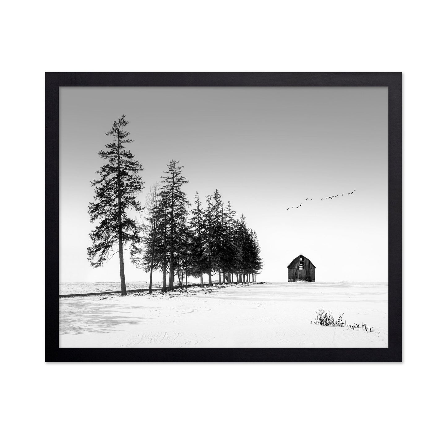 Lone Barn Winter