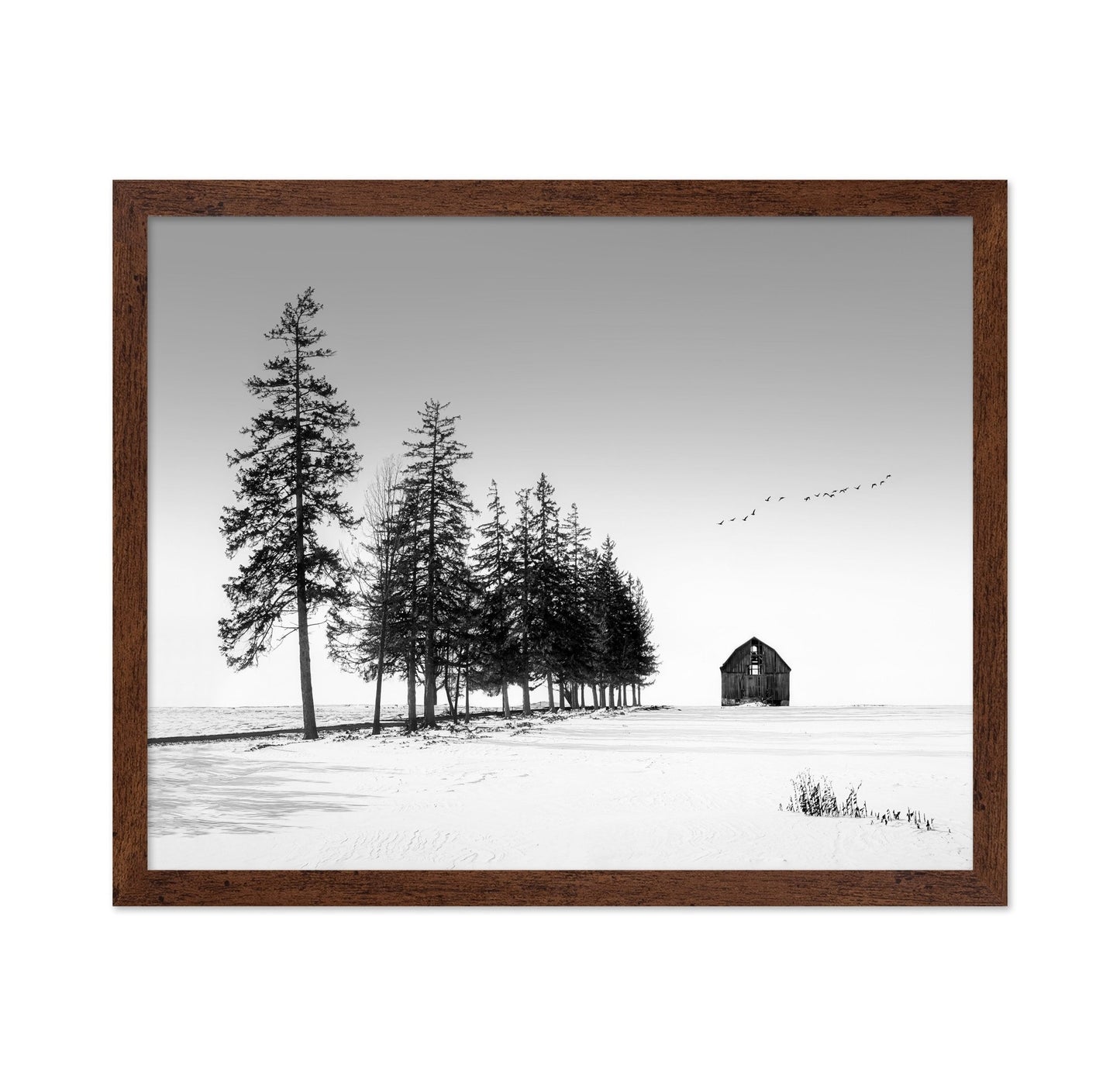Lone Barn Winter