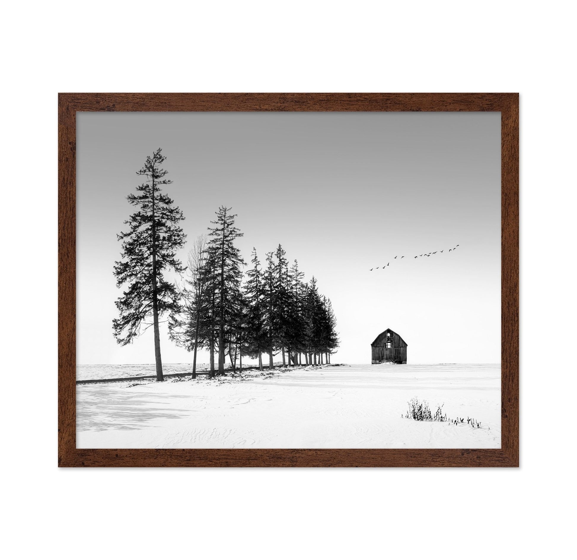 Lone Barn Winter