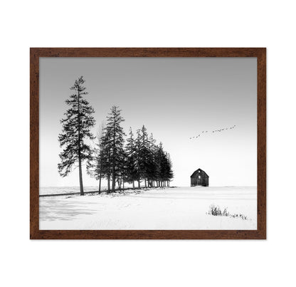 Lone Barn Winter
