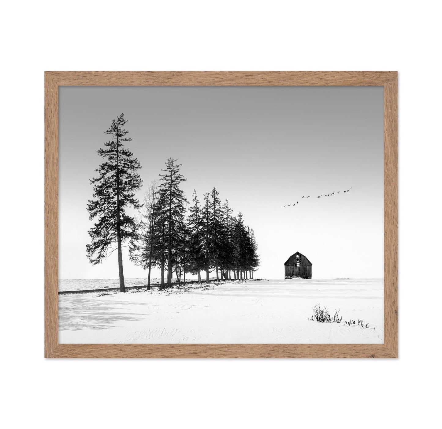 Lone Barn Winter