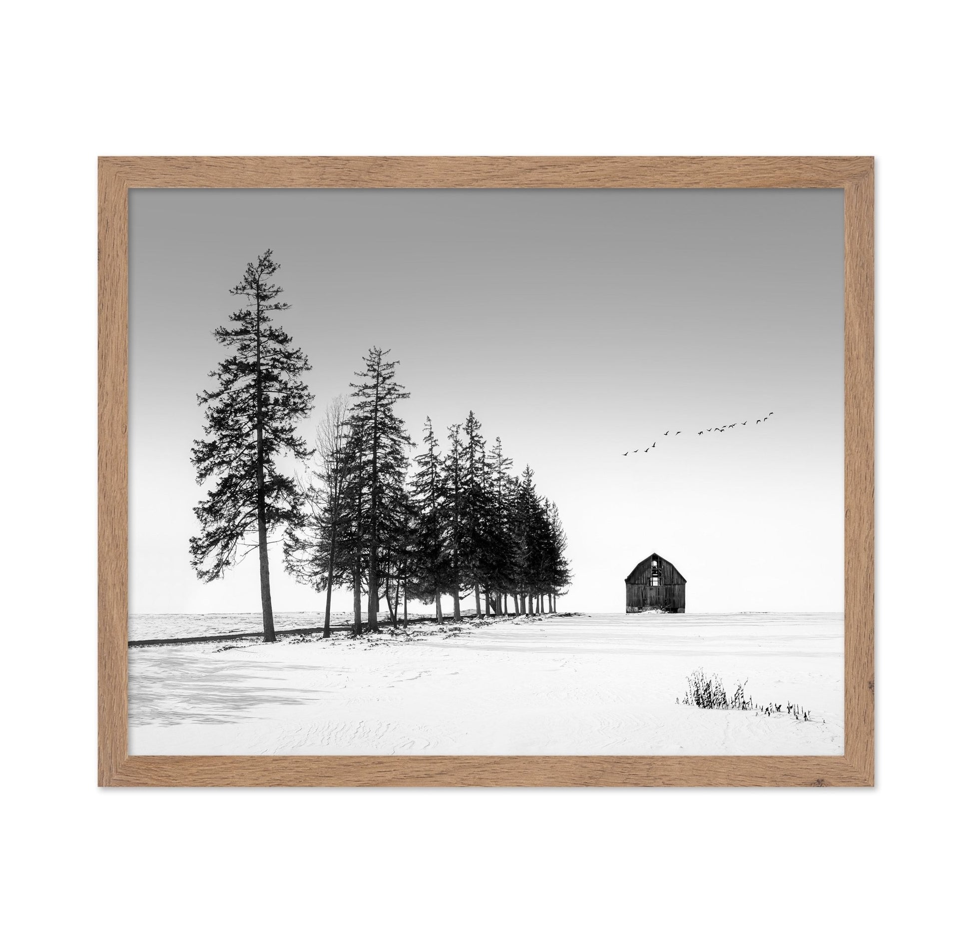 Lone Barn Winter